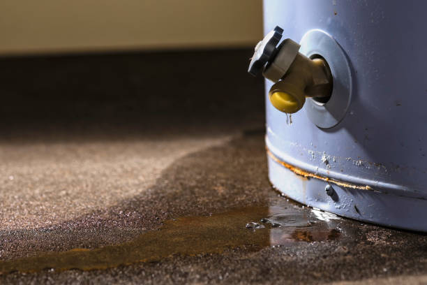 Best Water damage contractors near me  in Santa Maria, CA