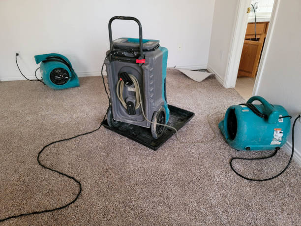 Best Local water damage restoration  in Santa Maria, CA