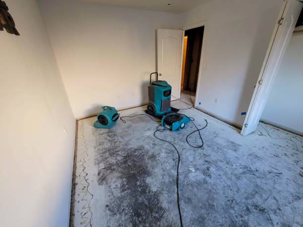 Best Basement water damage restoration  in Santa Maria, CA