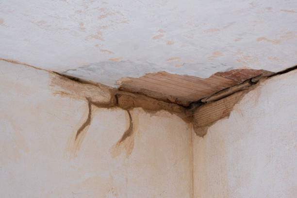 Best Local water damage restoration  in Santa Maria, CA