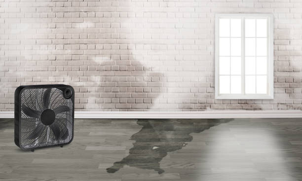 , CA Water damage restoration Company