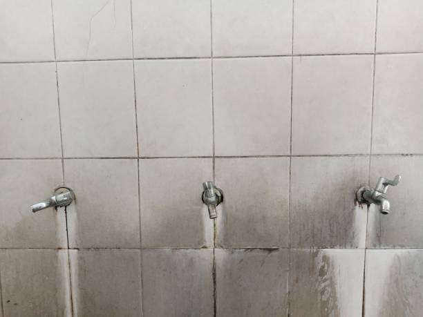 Best Flood restoration services  in Santa Maria, CA