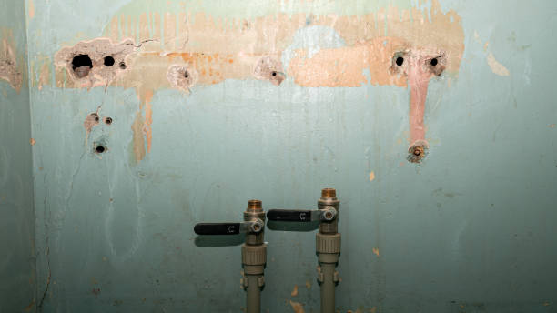 Best Water damage restoration near me  in Santa Maria, CA