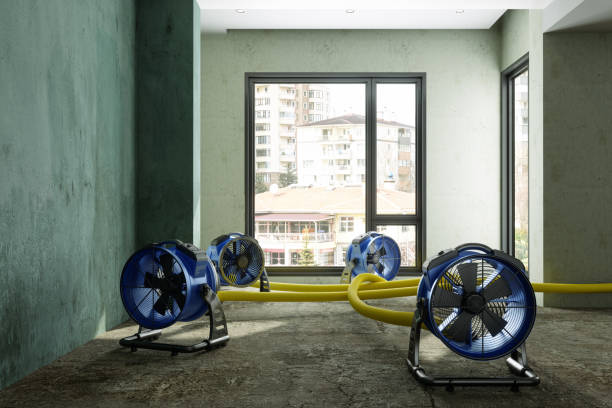 Best Water damage mitigation services  in Santa Maria, CA