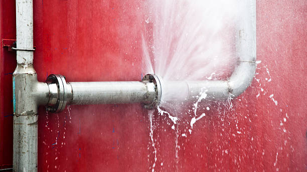 Best Flood damage cleanup  in Santa Maria, CA